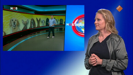 NOS Jeugdjournaal met gebarentaal